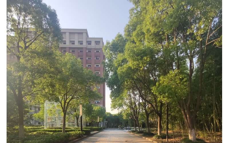 稻田學塾-日本留學畢業(yè)回國優(yōu)勢有哪些